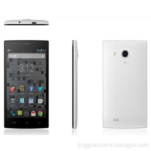 5" EVDO+GSM Quad Core Smartphone
